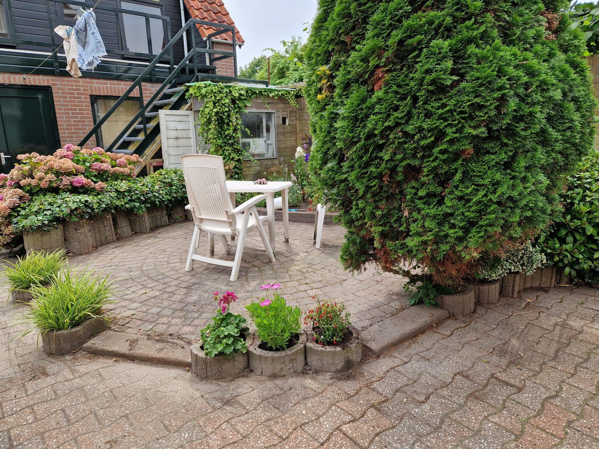 Image 12