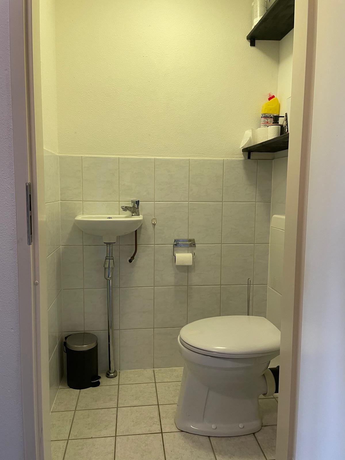 Image 12