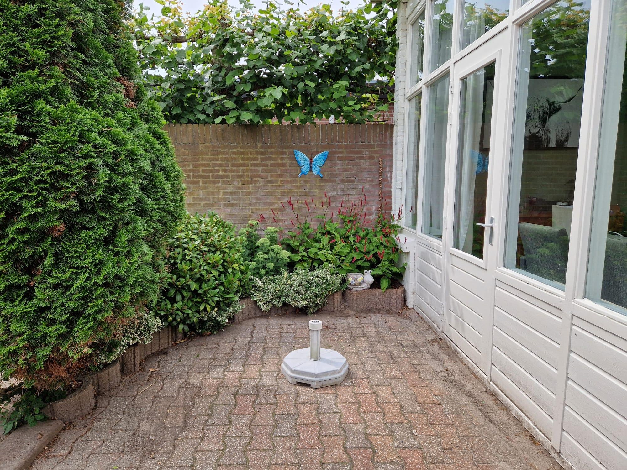 Image 11