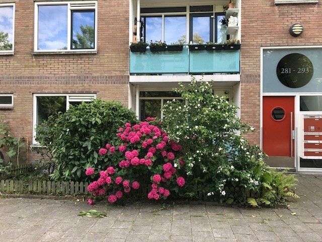 Appartement in Amsterdam