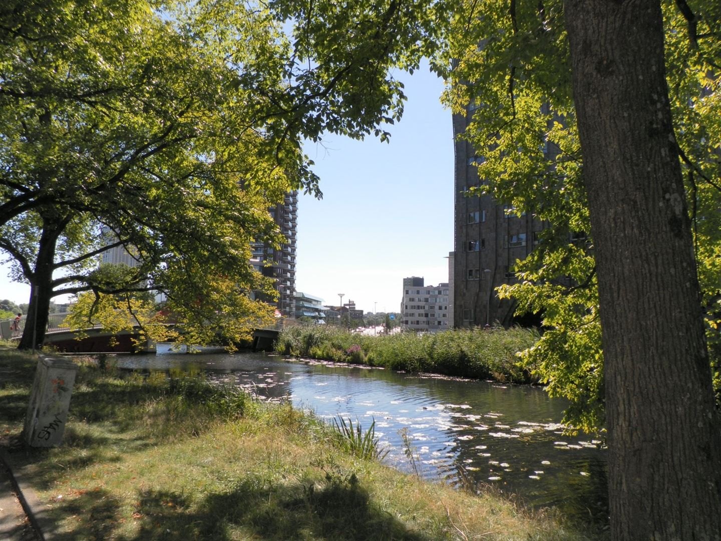 Apartment in Amsterdam