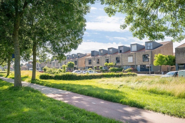 Vlaamse Gaai, Zeewolde