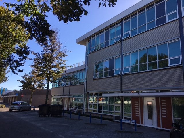 Image 11