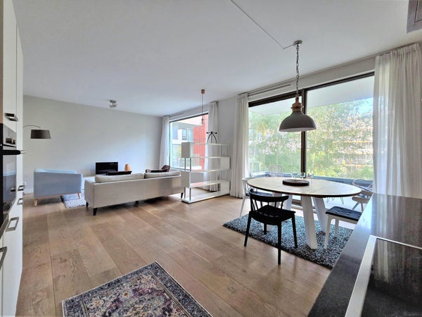 homes for rent on Fred. Roeskestraat