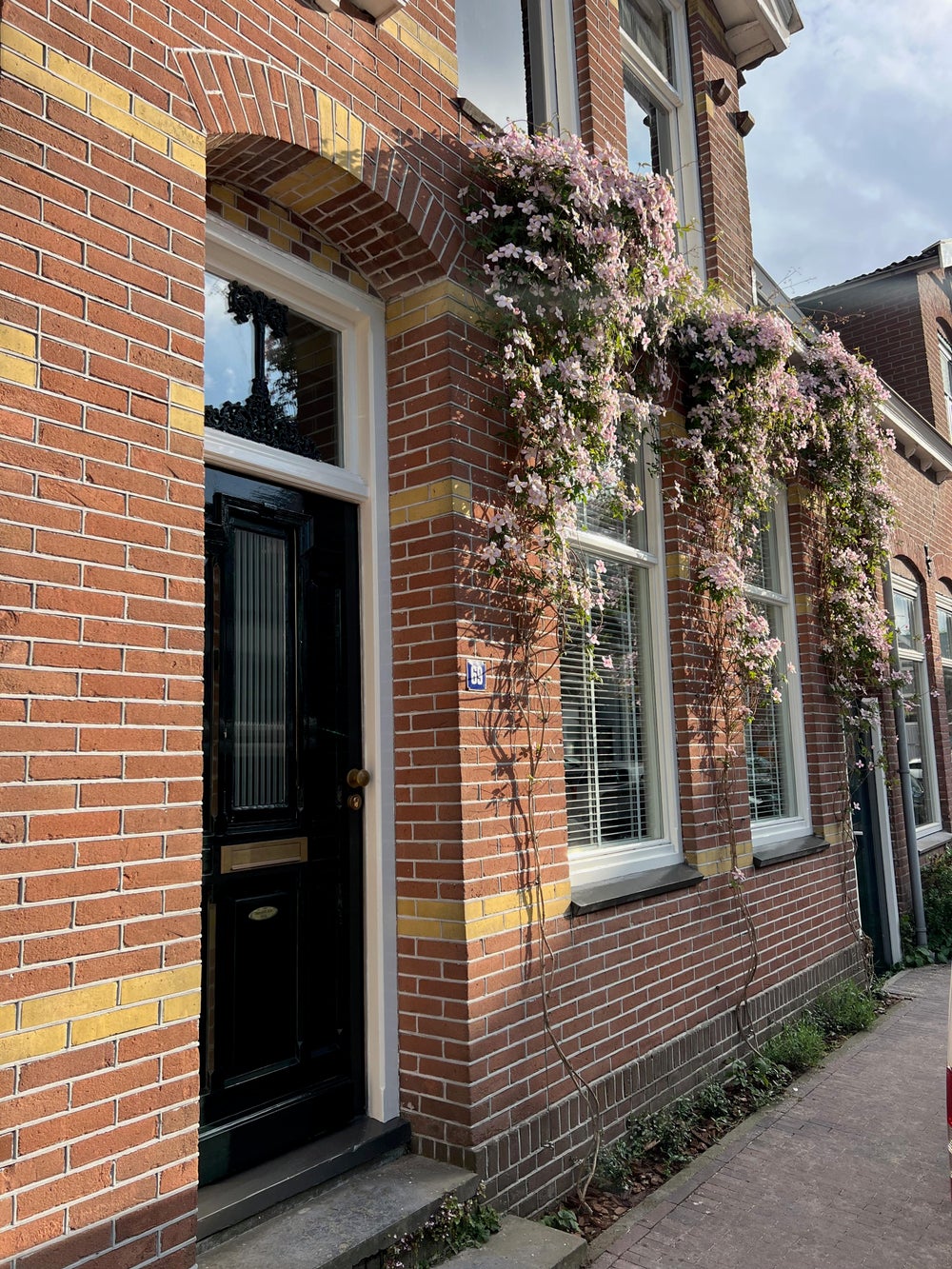free-sector-houses for rent on Langestraat