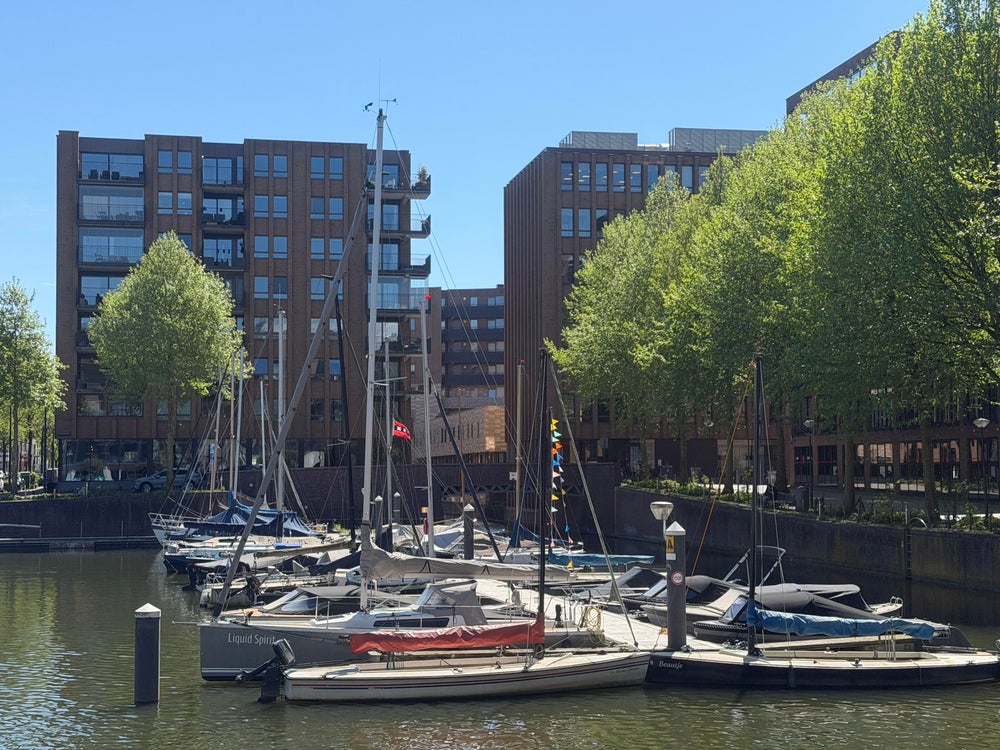 appartementen te huur op Pieter Oosterhuisstraat