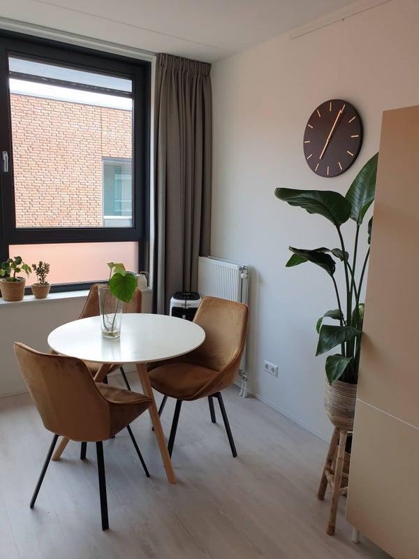 Studio in Utrecht