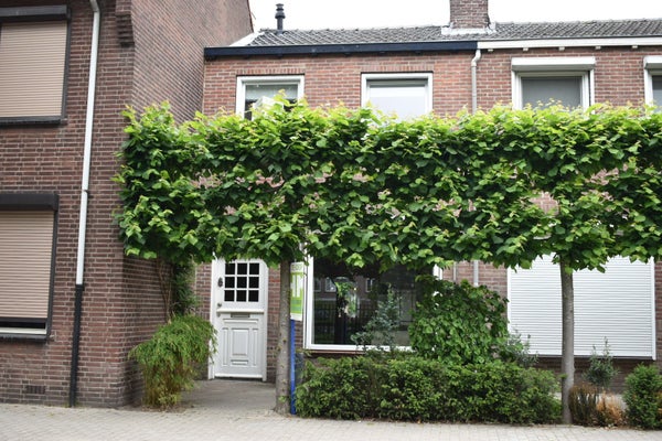 Berkdijksestraat 141 Tilburg