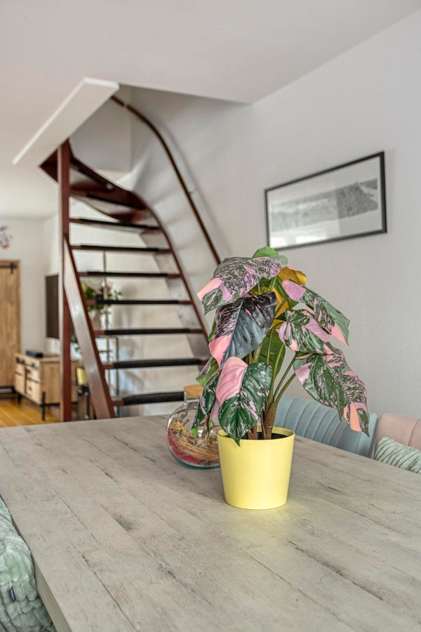 PastoorSchoenmaeckersstraat17D6163BVGeleenNL-18