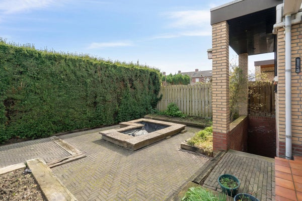 11tuin