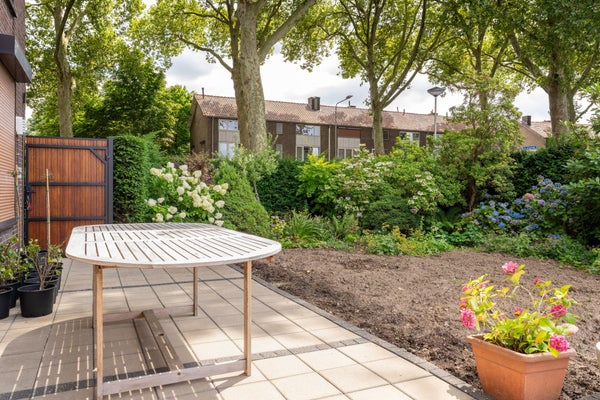 11tuin
