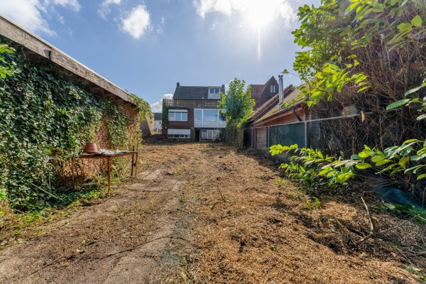 38tuin