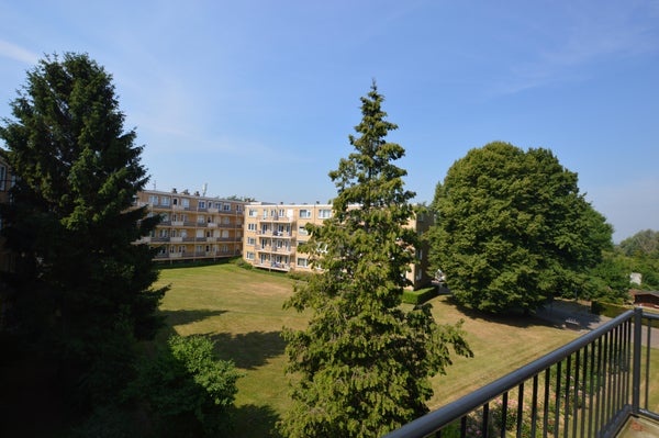Achteraanzicht 1