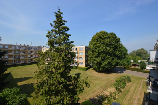Achteraanzicht 2