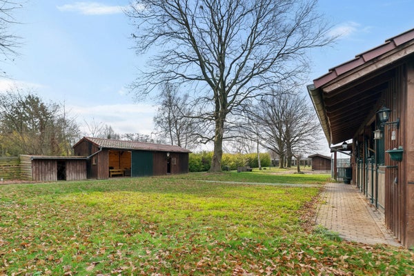 20tuin