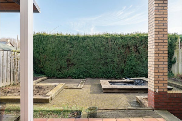 13tuin