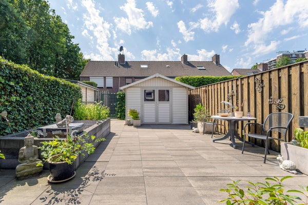 11tuin
