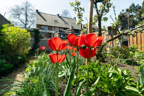 15tuin