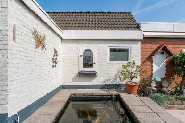 17tuin