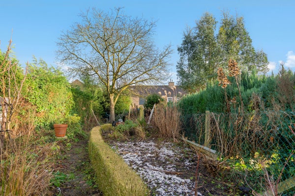 13tuin