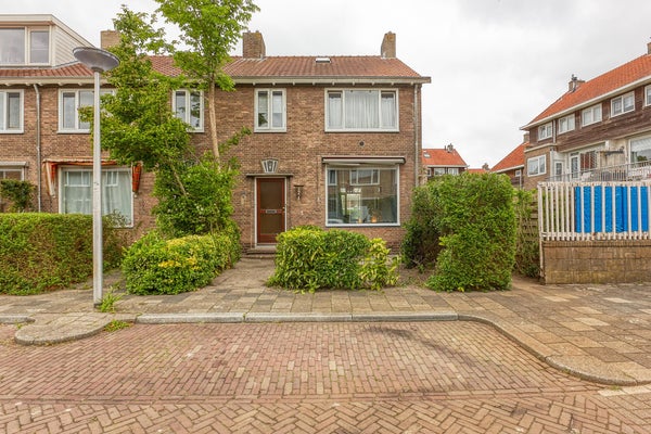 Prof. Oudemansstraat