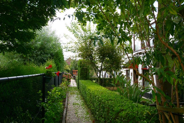 View photo 1/27 of apartment in Rotterdam