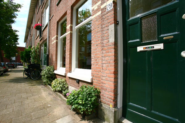 Image 102
