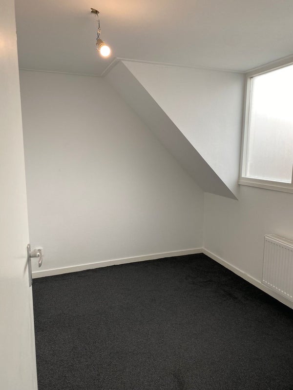 Bosboomstraat