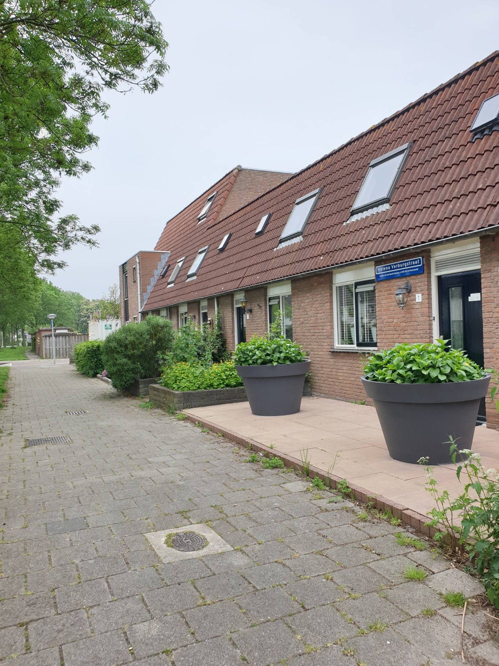 homes for rent on Helena Verburgstraat