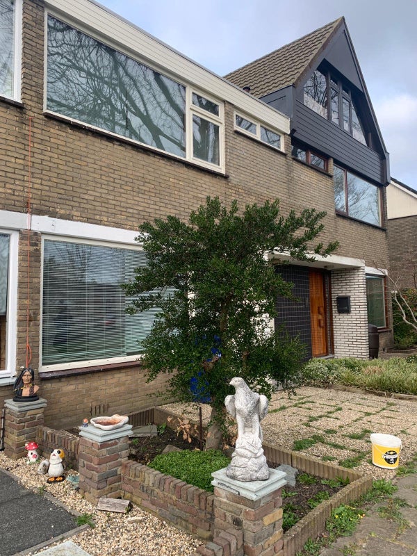 homes for rent on Prof. Mekelstraat