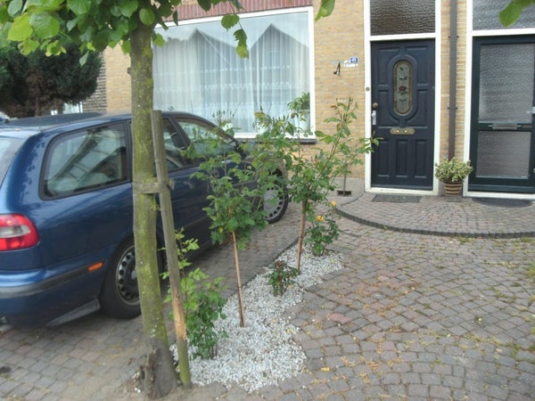 huurwoningen te huur op Van Speykstraat