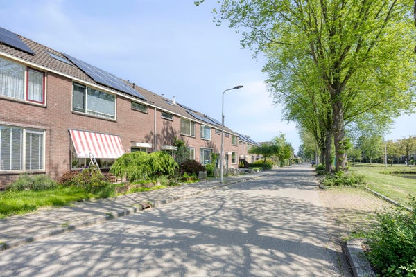 Blommesteinsingel