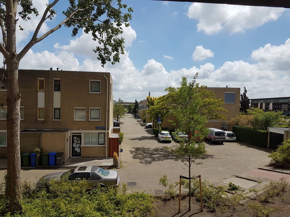 Image 13