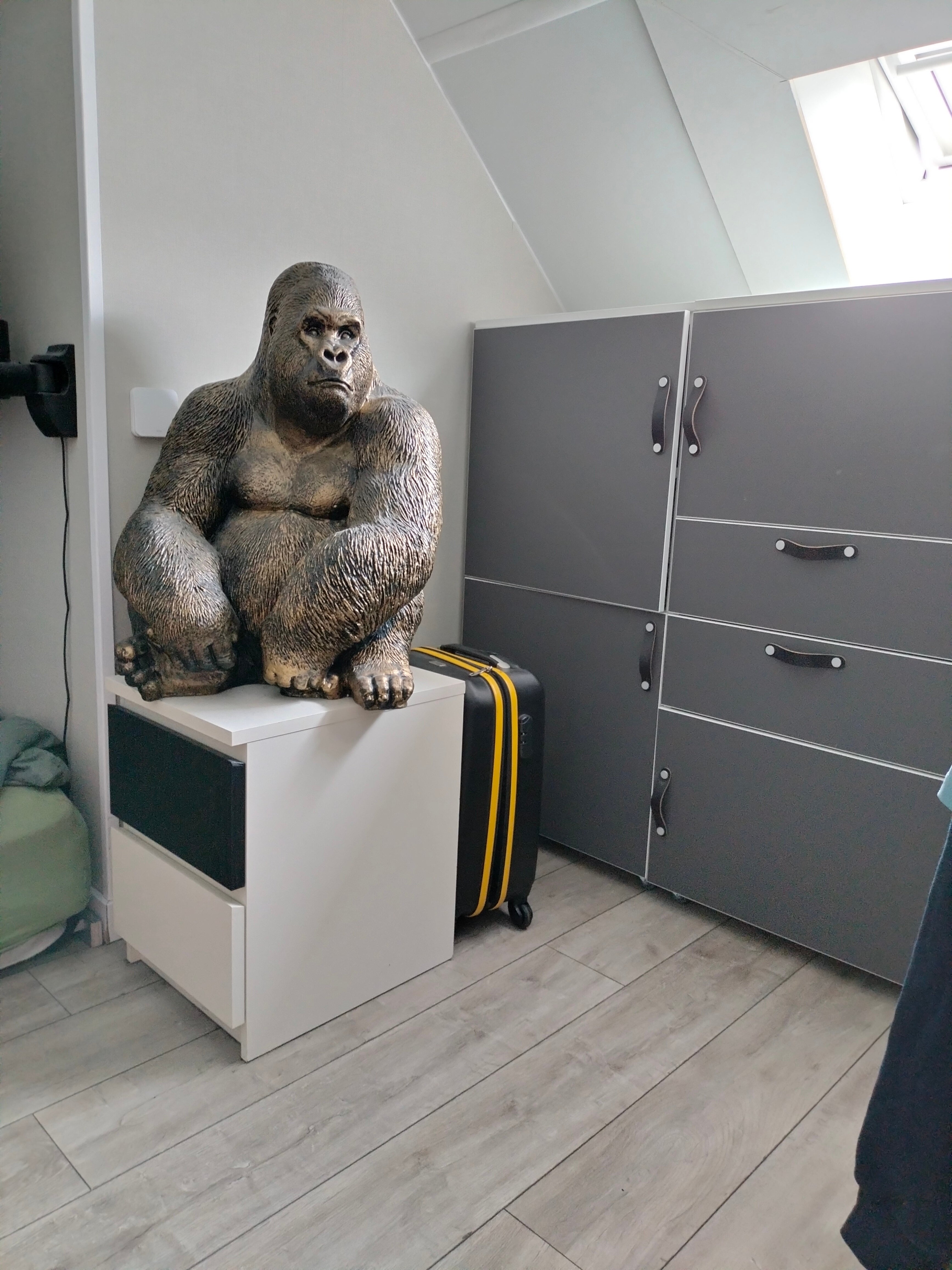 kamer in 's-Hertogenbosch