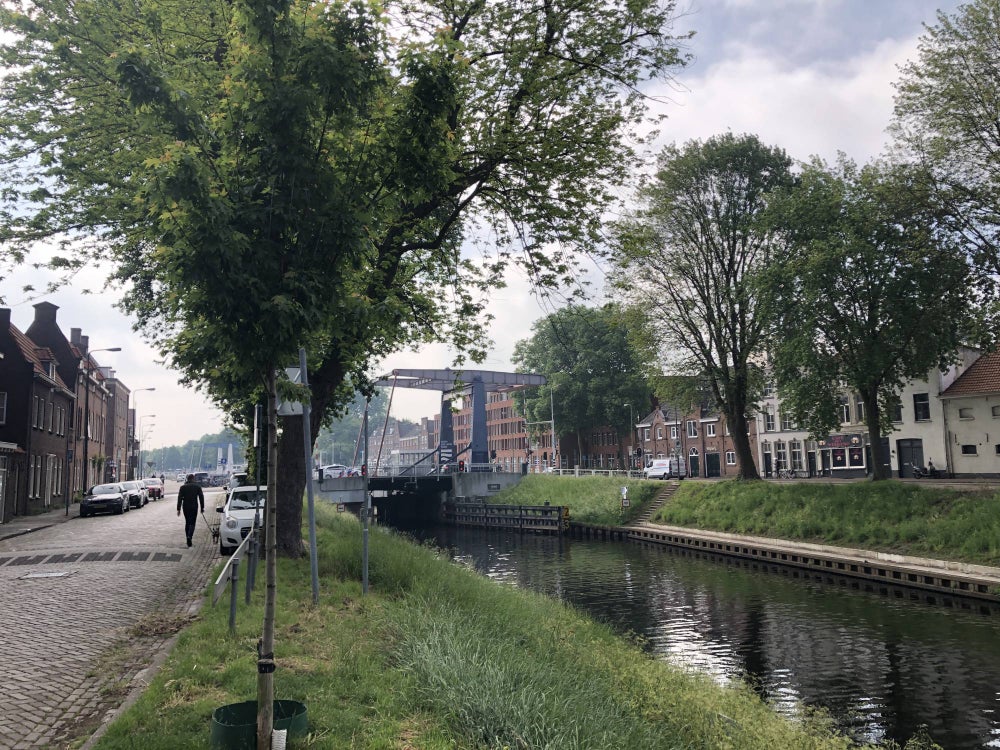 Rent Apartment Zuid Willemsvaart, Den Bosch?