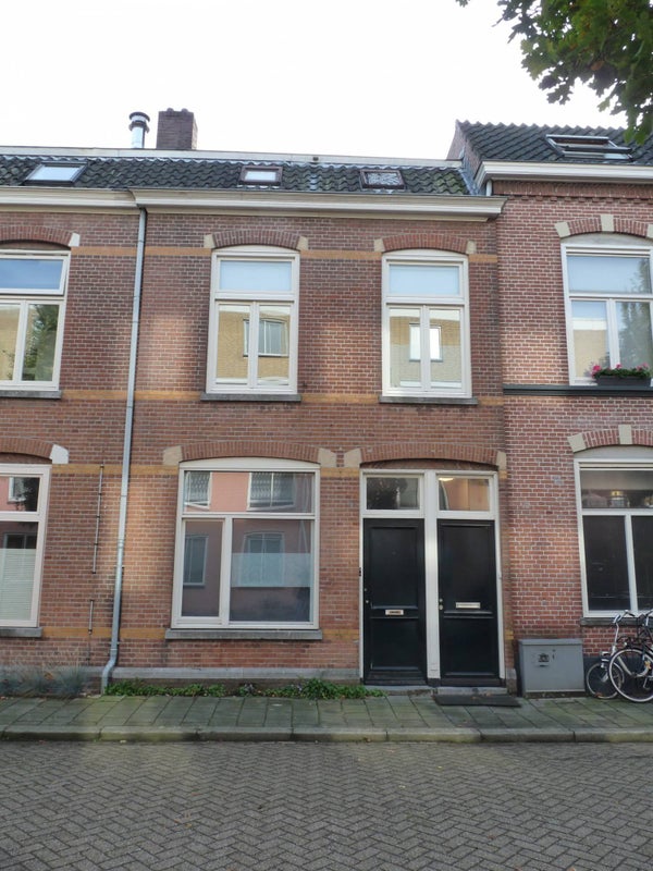 van Heurnstraat