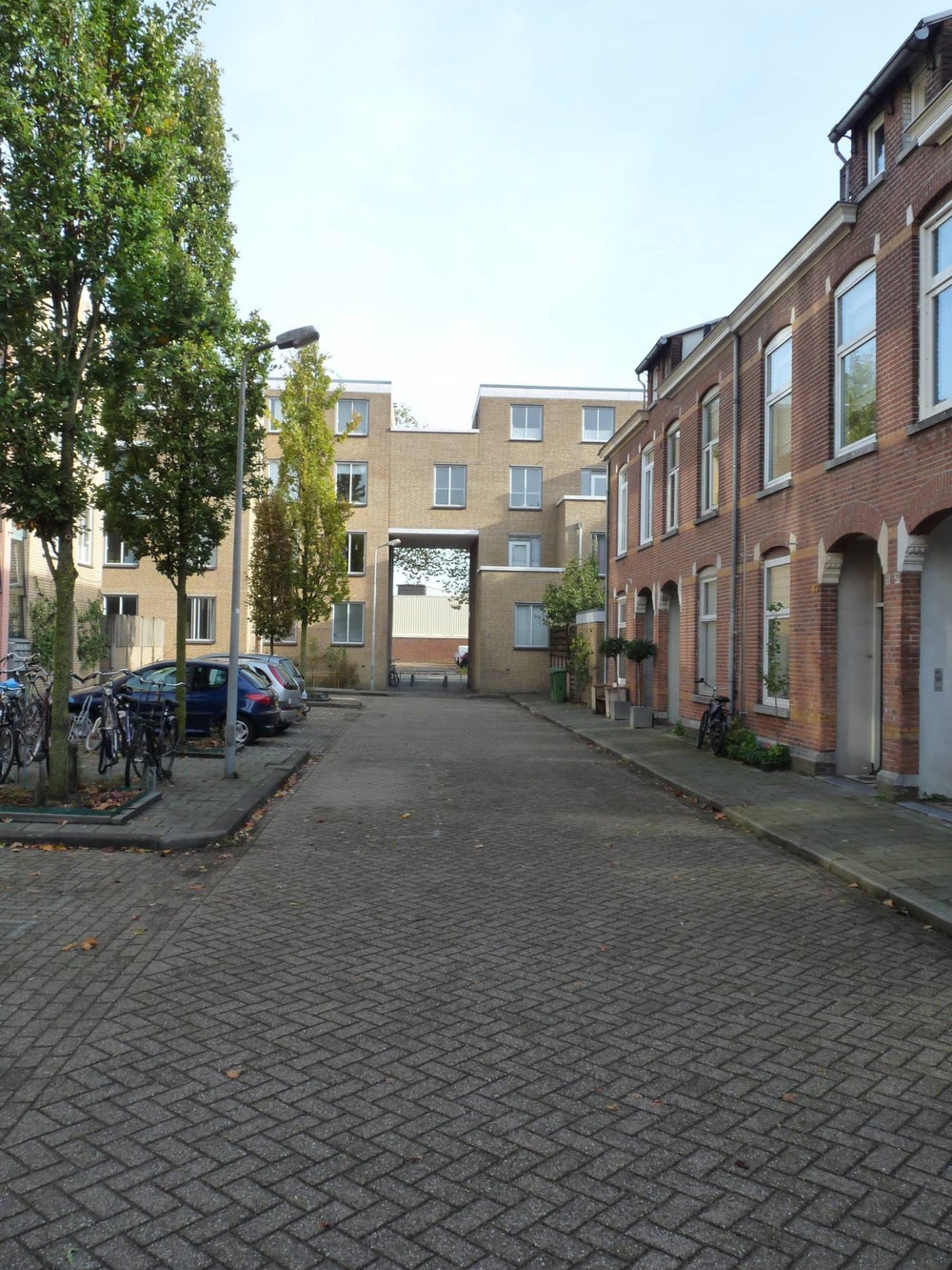 Image 11