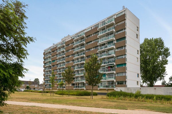 Wilgenstraat, Oost-souburg
