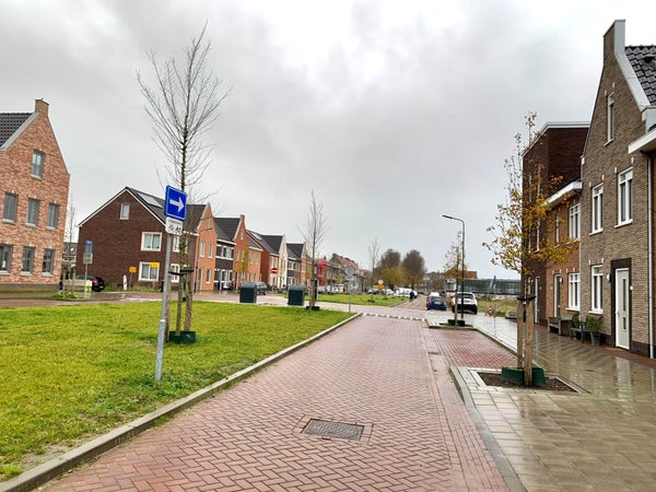 Singel
