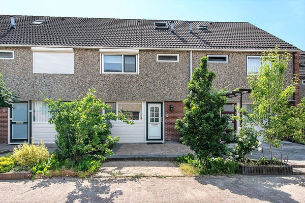 Ewisland, Middelburg