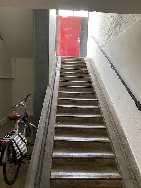 Image 13
