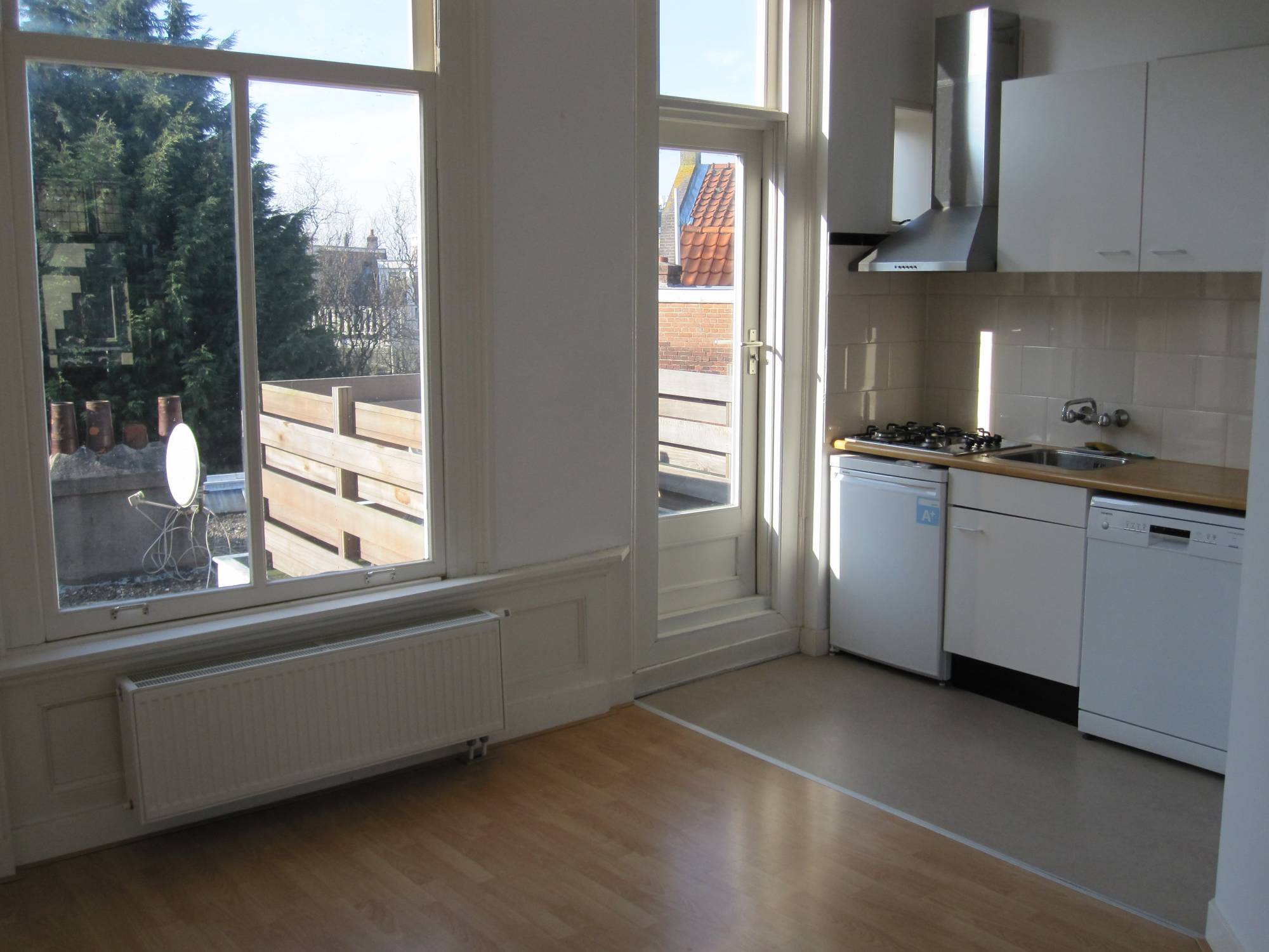 Bekijk foto 1/47 van apartment in Haarlem