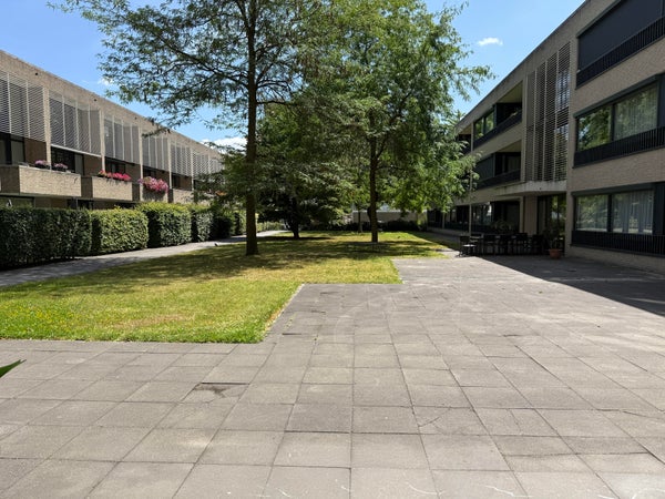Dominee Coolsmastraat