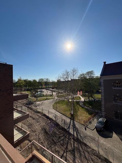 Image 12
