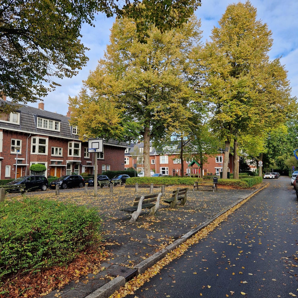Rent Apartment De Savornin Lohmanplein, Groningen?