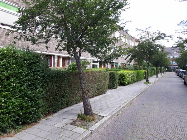 Van Swinderenstraat