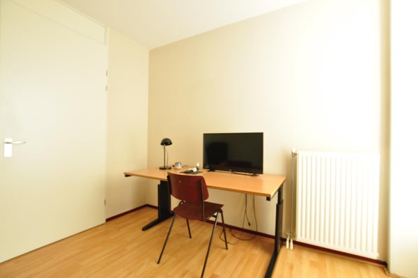 Dommelhoefstraat