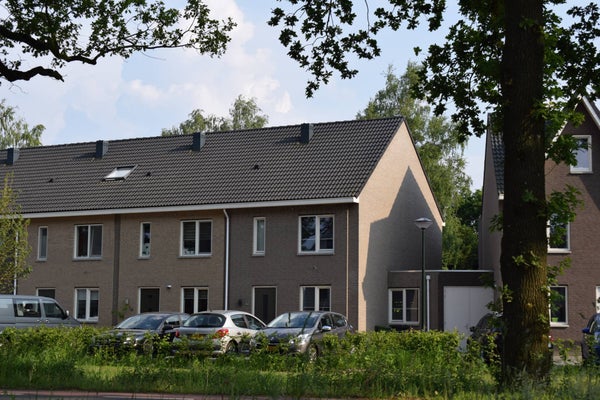 Honingbij