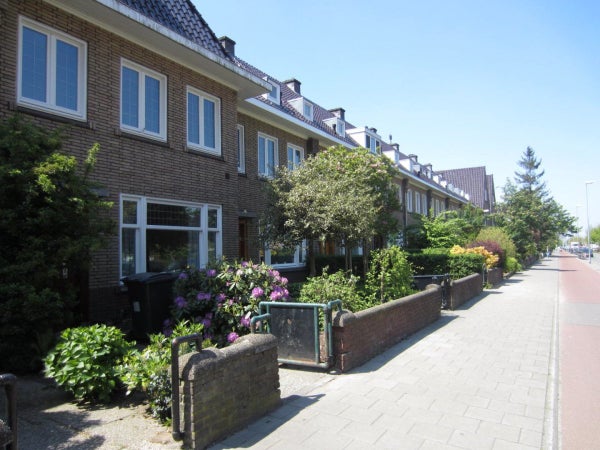 Boschdijk