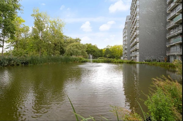 Herodotusplein, Eindhoven - Amsterdam Apartments for Rent